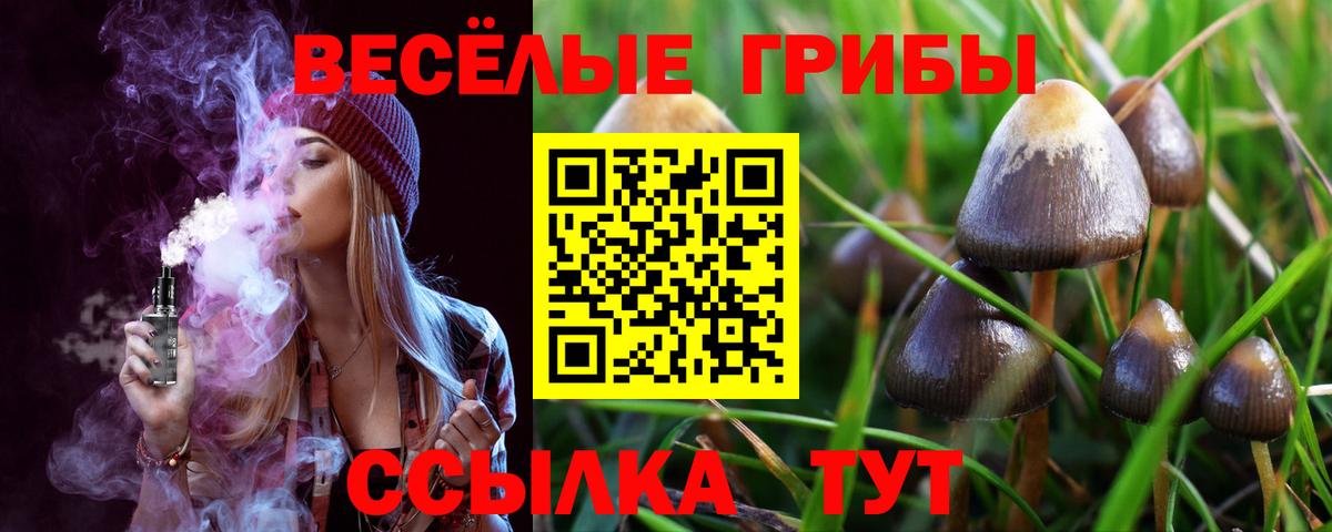 Псилоцибиновые грибы мухоморы Красноуфимск